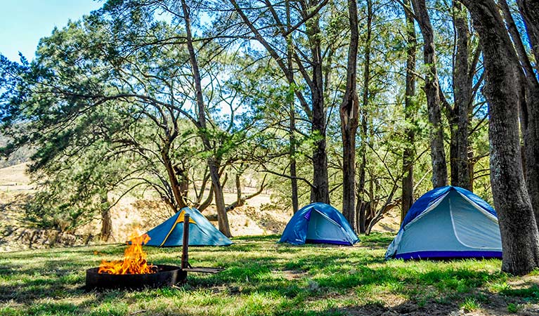 Capertee campground | campground | Unnamed Road, Bogee NSW 2849, Australia | 1300072757 OR +61 1300 072 757