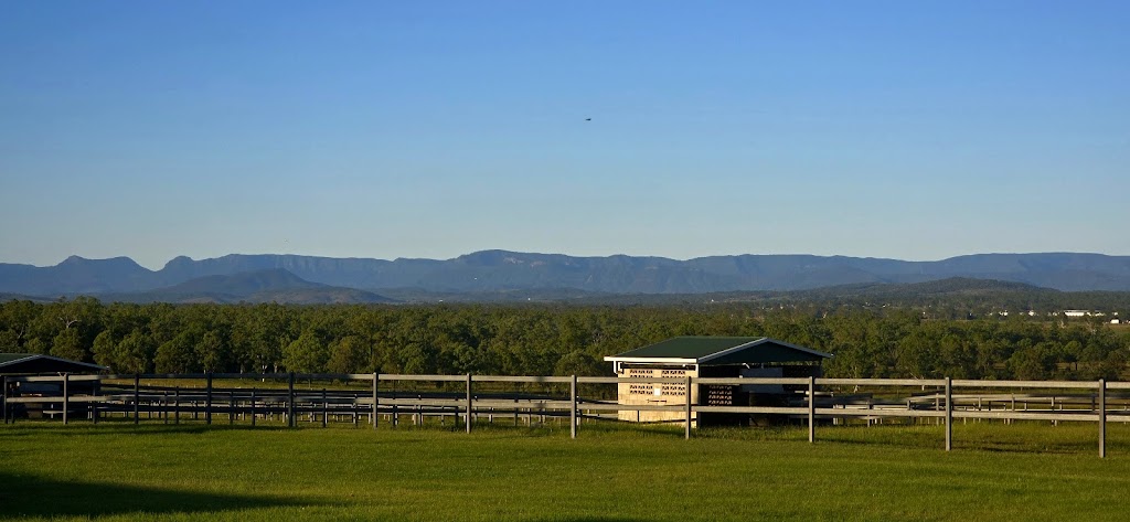 Grason Park | 1211 Middle Rd, Peak Crossing QLD 4306, Australia | Phone: 0400 480 668 Grason Park | 1211 Middle Rd, Peak Crossing QLD 4306, Australia | Phone: 0400 480 668