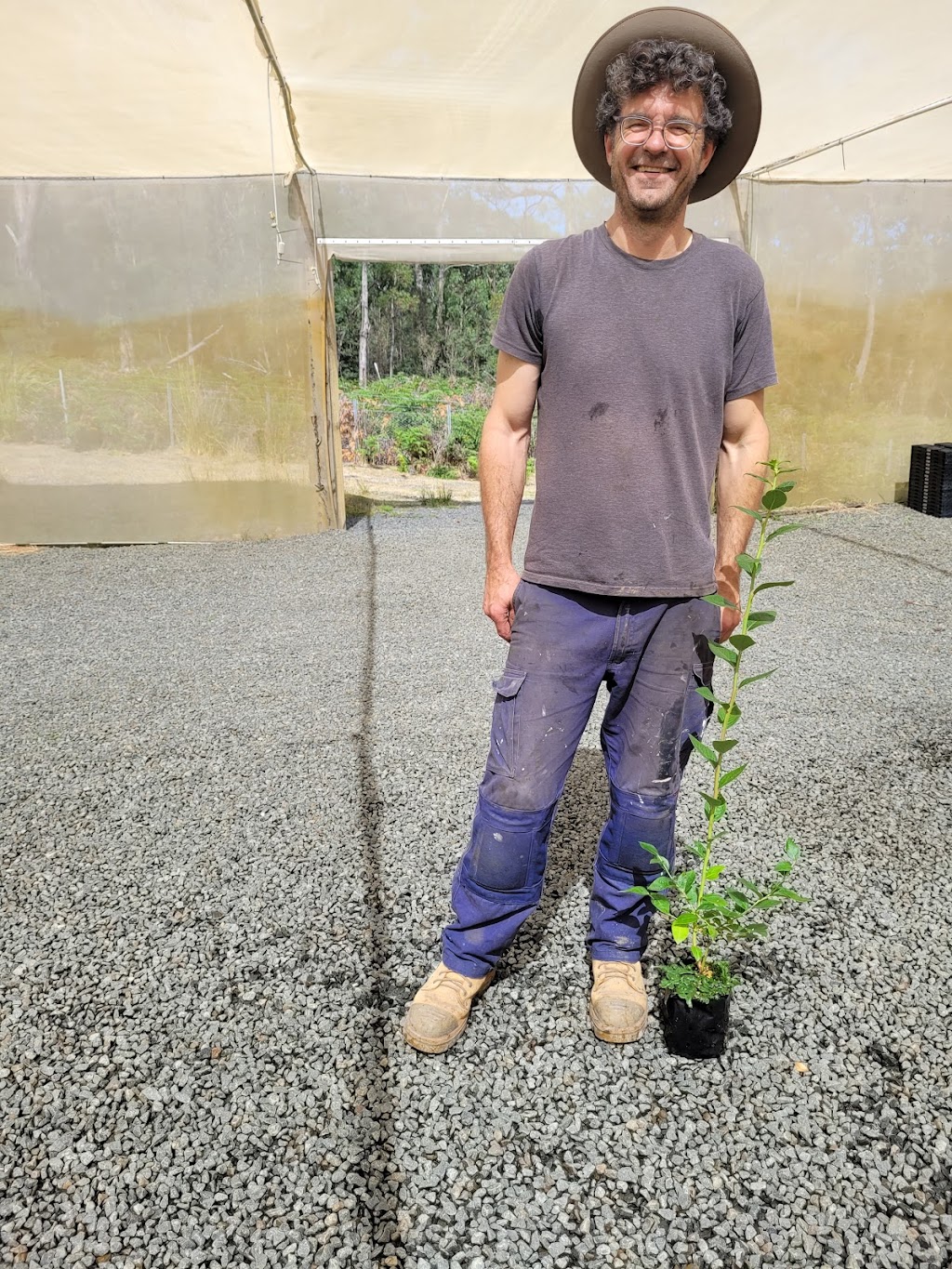 Earthbound Tasmania | 190 Gums Rd, Mountain River TAS 7109, Australia | Phone: 0413 194 708