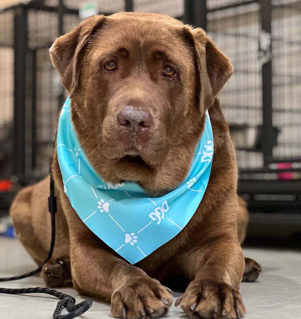 Barn House Co. | Lakes Dr, Laidley Heights QLD 4341, Australia | Phone: 0407 654 039