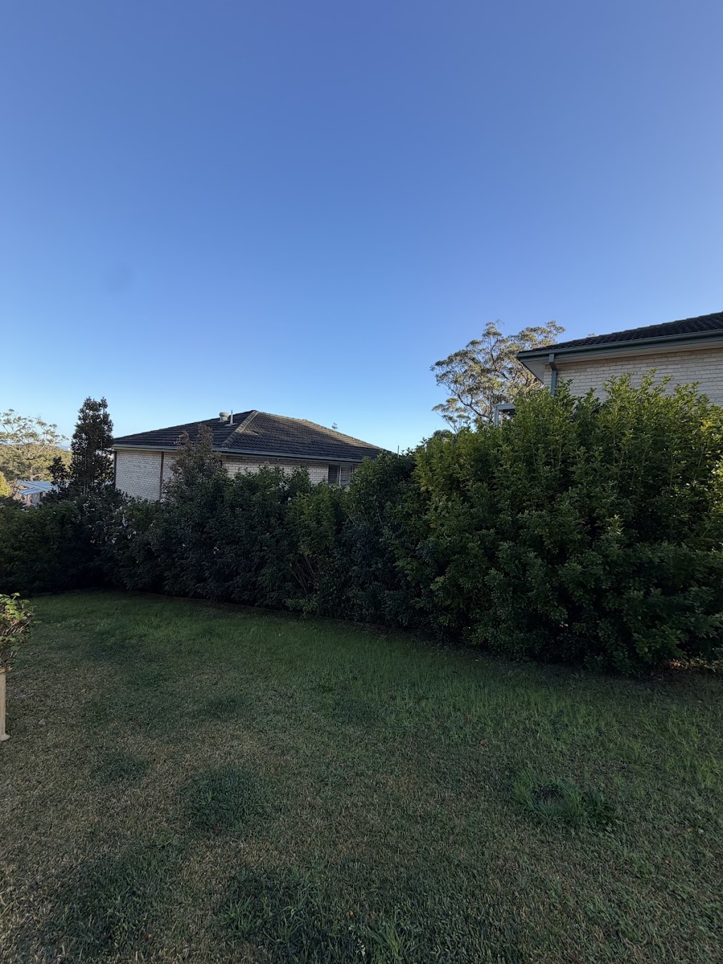 Davies tree services | 116 Bagnall Beach Rd, Corlette NSW 2315, Australia | Phone: 0432 739 097