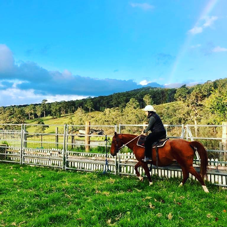 Red Hill Organics Farmstay | 1956 Kangaroo Flat Rd, Yarrowitch NSW 2354, Australia | Phone: 0428 695 184