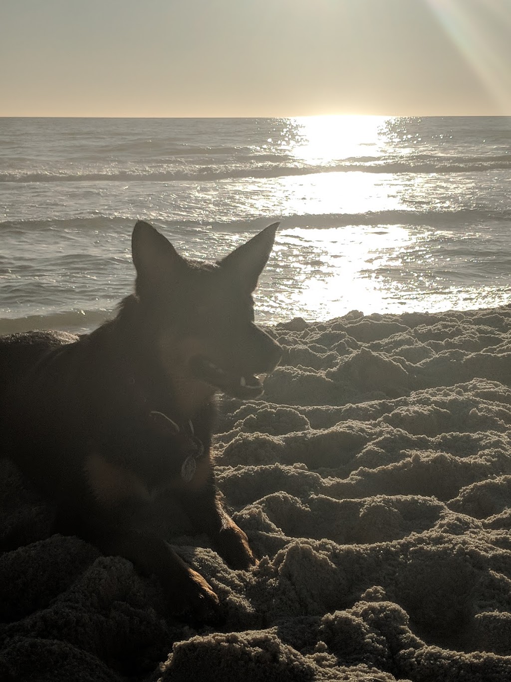 Dog Beach ( South of City Beach) | park | Challenger Parade, City Beach WA 6015, Australia