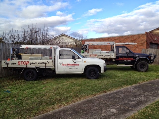 Pest Disturbers PTY LTD | 26 George St, Ashwood VIC 3147, Australia | Phone: 1800 422 482