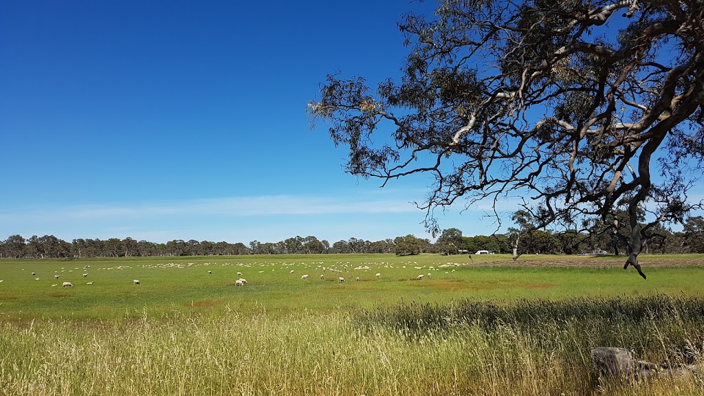 GREENRISE RECREATIONAL RESERVE | Penola SA 5277, Australia