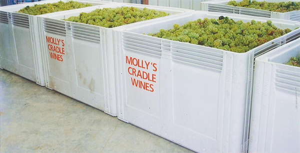 Mollys Cradle Wines | 17/1-3 Jubilee Ave, Warriewood NSW 2102, Australia | Phone: (02) 9979 1212