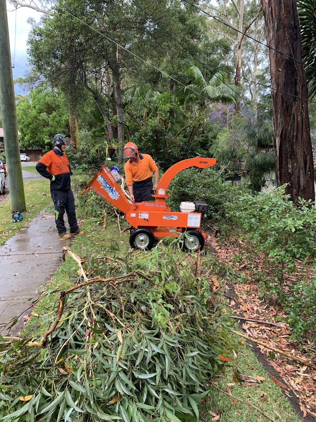 Harmony Tree Care | 143 Tableland Rd, Wentworth Falls NSW 2782, Australia | Phone: (02) 4711 0027