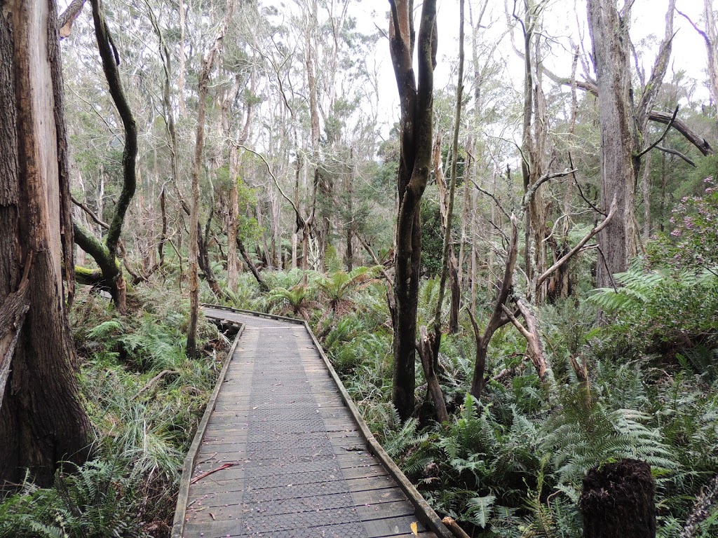 Lilly Pilly Gully Boardwalk | park | Lilly Pilly Gully Nature Walk, Wilsons Promontory VIC 3960, Australia