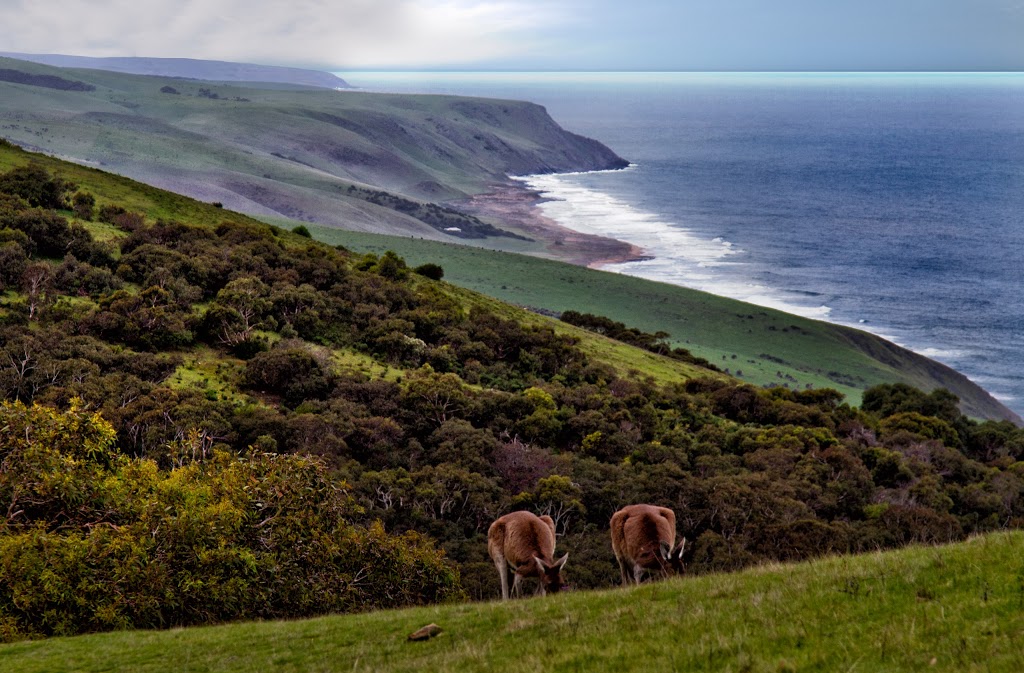 Deep Creek | South Australia 5204, Australia