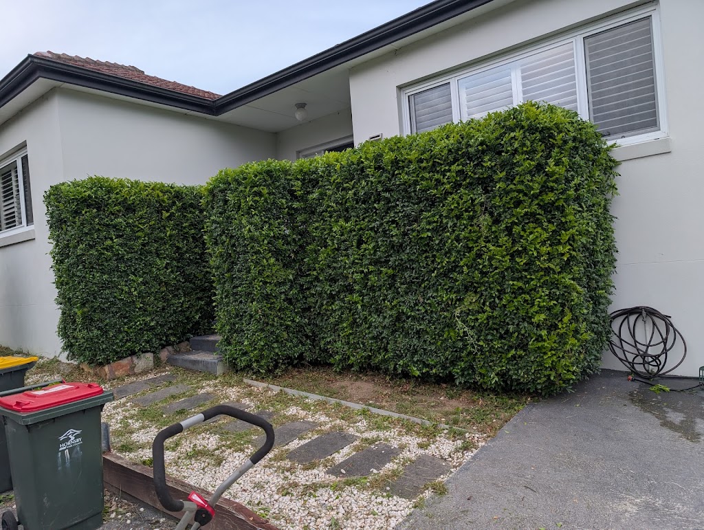 Waterhouse landscapes | 971 Pittwater Rd, Collaroy NSW 2097, Australia | Phone: 0469 789 914