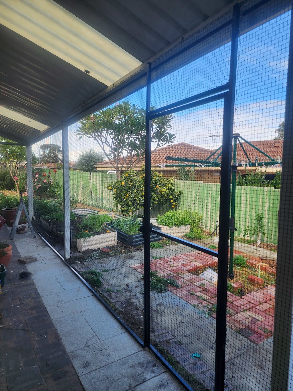 Cat Max Clear Net Enclosures | 318D Lenah Valley Rd, Lenah Valley TAS 7008, Australia | Phone: 1300 306 605