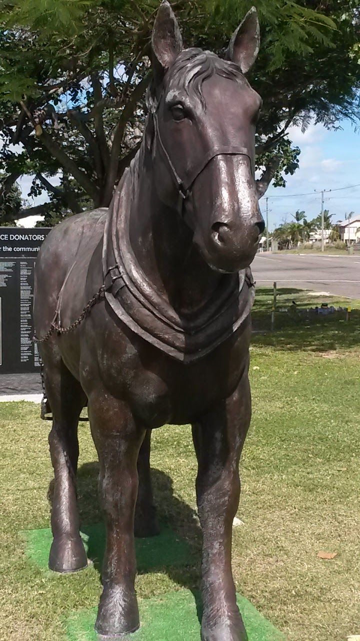 Collinsville Pit Pony Experience | 34 Sonoma St, Collinsville QLD 4804, Australia | Phone: 0427 573 991