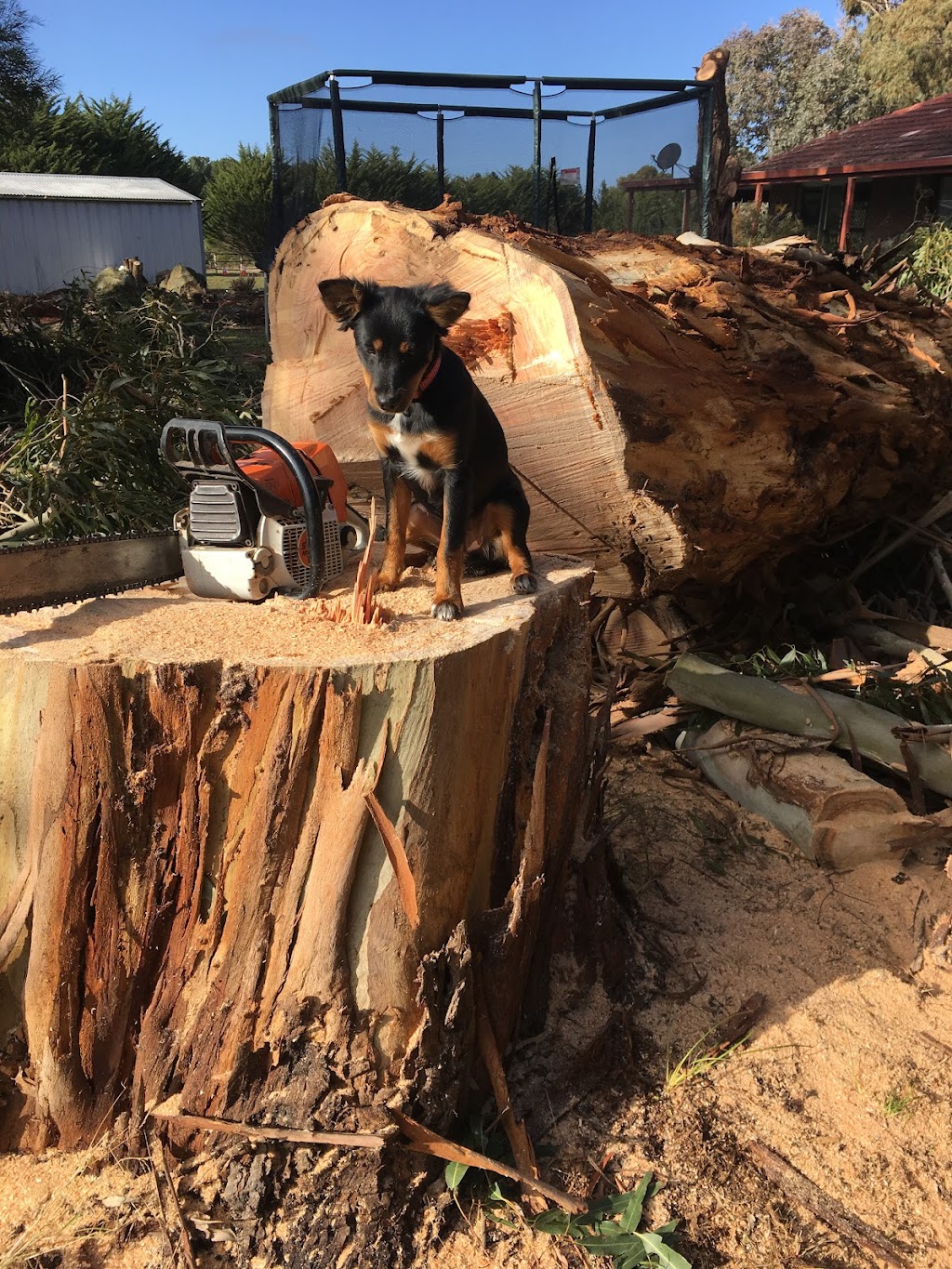 Mr Lumberjack | 15 Kavanagh Ct, Gisborne VIC 3437, Australia | Phone: 0417 400 718