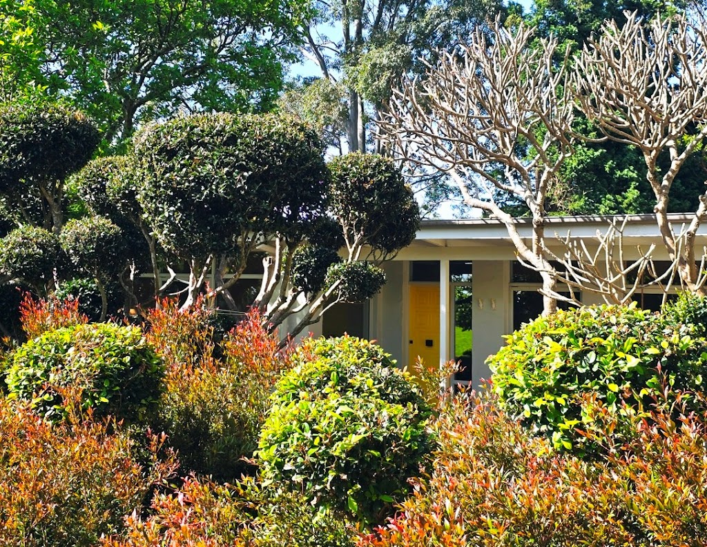 Jaspers Meadows | 100 OKeeffes Ln, Jaspers Brush NSW 2535, Australia | Phone: 1800 817 402