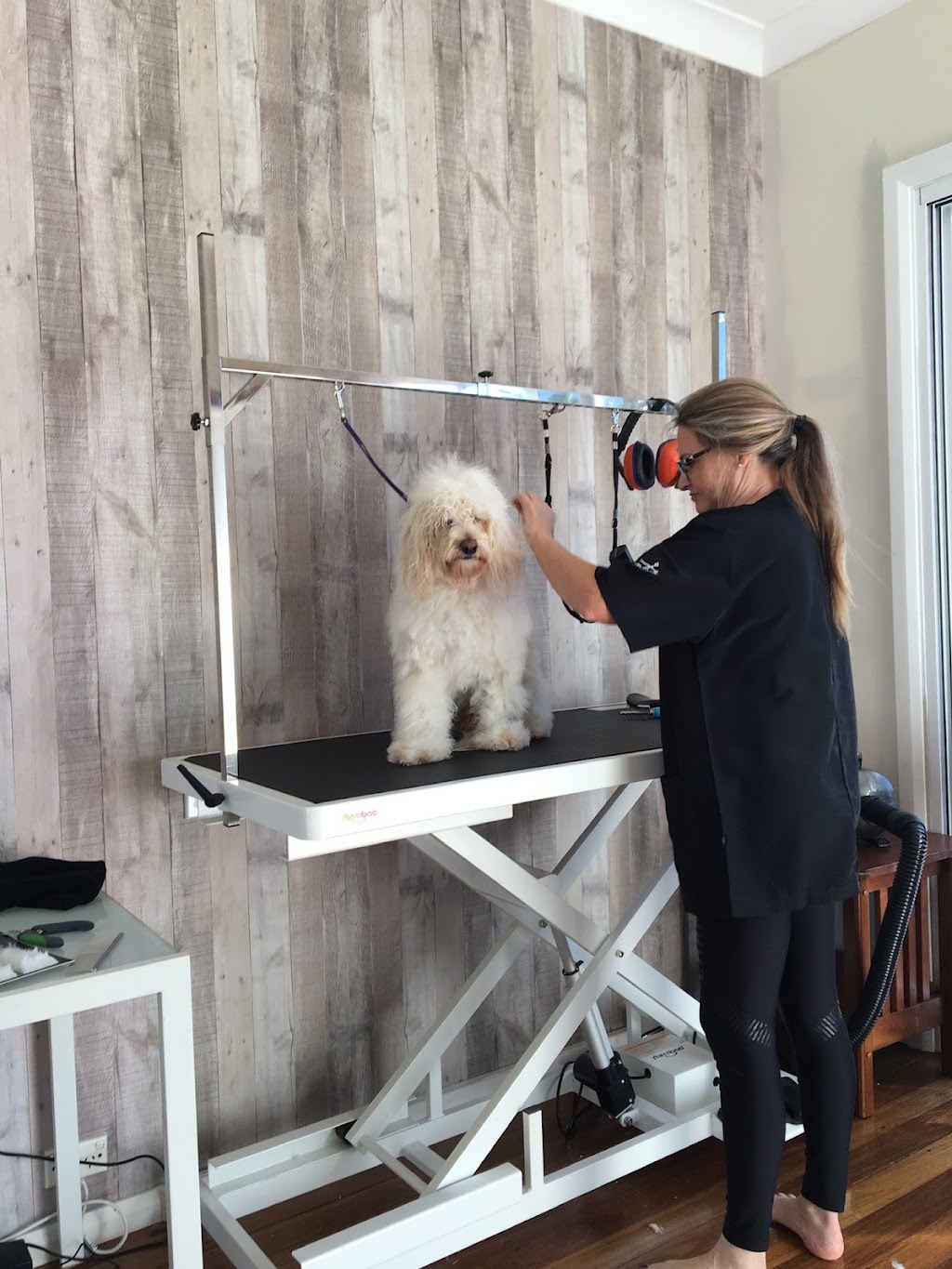 Custom Cutz Dog Grooming Blacksmiths | 10 Tirriki St, Blacksmiths NSW 2281, Australia | Phone: 0439 406 440