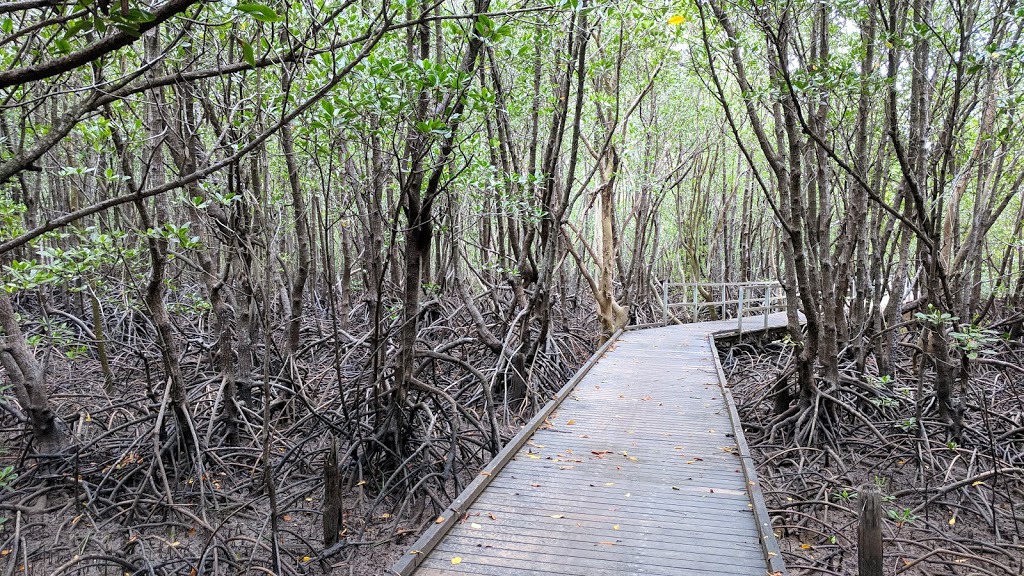 Mangrove Boardwalk | Tiwi NT 0810, Australia