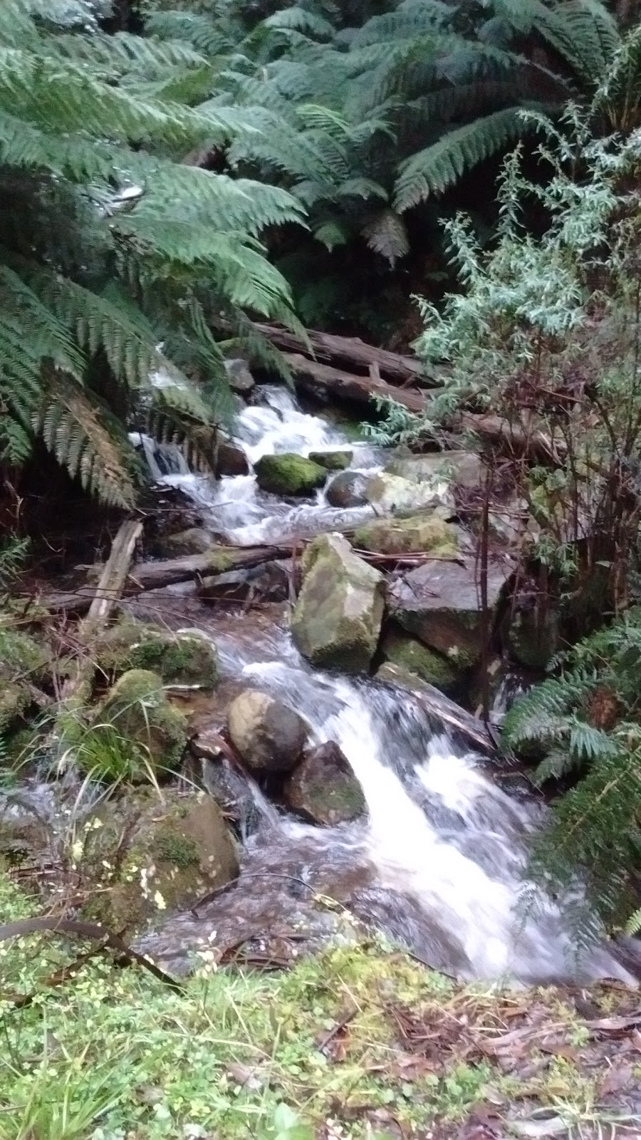 Myrtle Creek cascades |  | Healesville VIC 3777, Australia | 131963 OR +61 131963