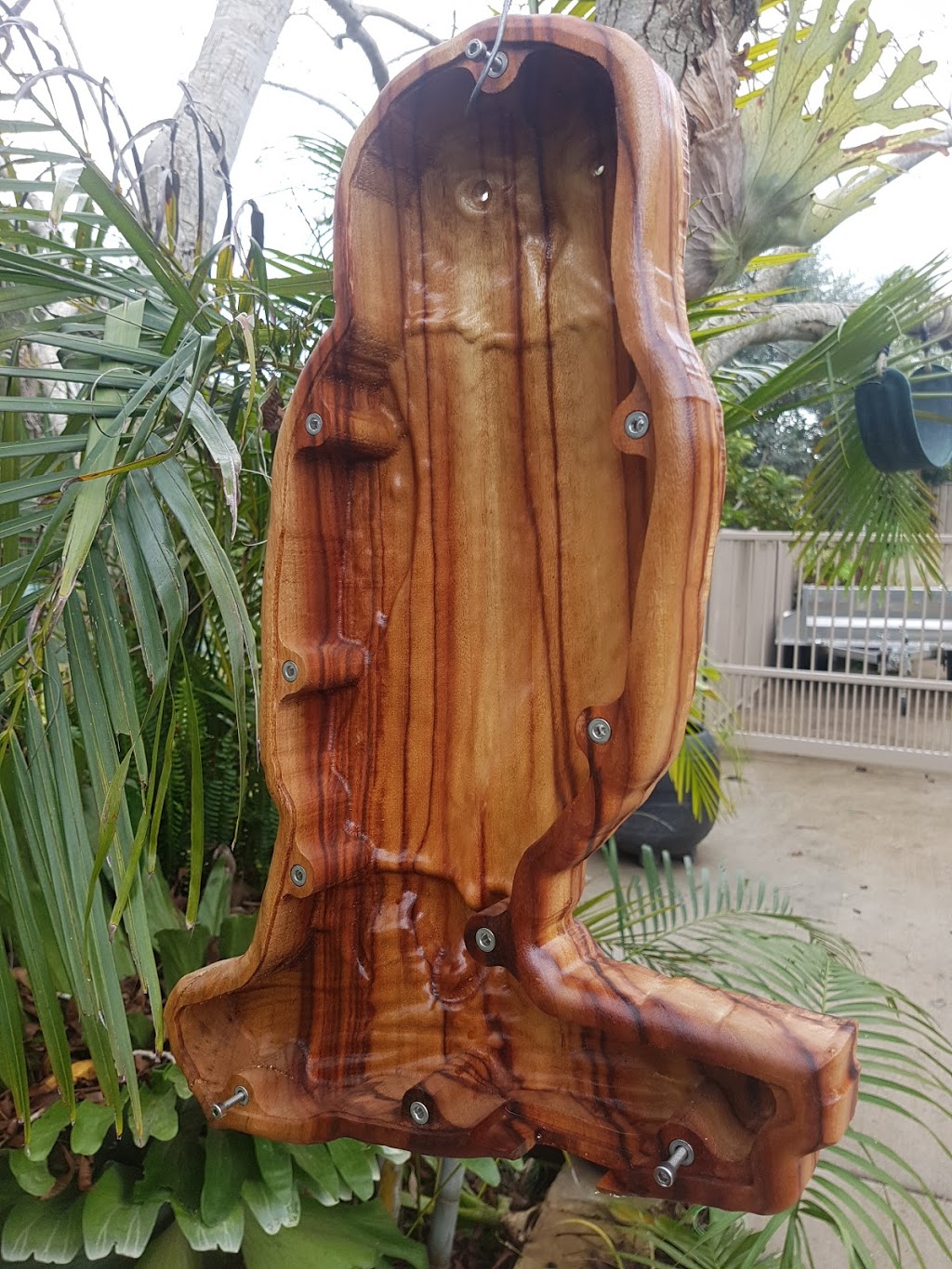Native Bees | 41 Parklands Cl, Port Macquarie NSW 2444, Australia | Phone: 0402 197 814