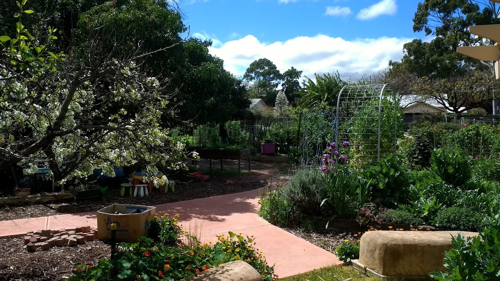 Fern Ave Community Garden | 18/20 Fern Ave, Fullarton SA 5063, Australia | Phone: (08) 8271 5430