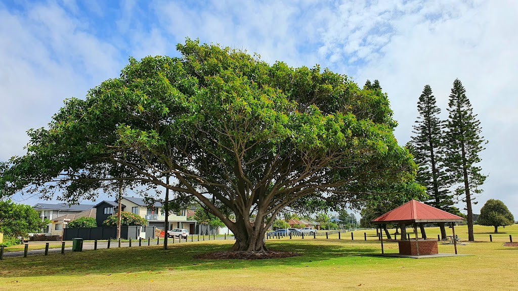 Pitt Street Reserve Playground | 10 Wharf Cres, Stockton NSW 2295, Australia | Phone: (02) 4974 2000