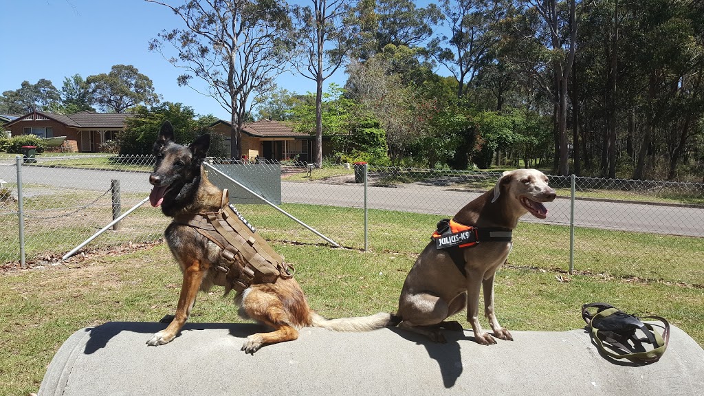 Medowie Off-Lead Dog Exercise Area | 36 Coachwood Dr, Medowie NSW 2318, Australia