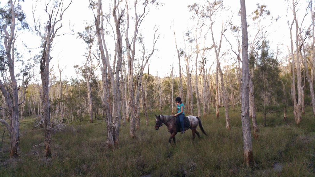 Saddle Me Up | 32 Heron Cl, Moore Park Beach QLD 4670, Australia | Phone: (07) 4159 8782