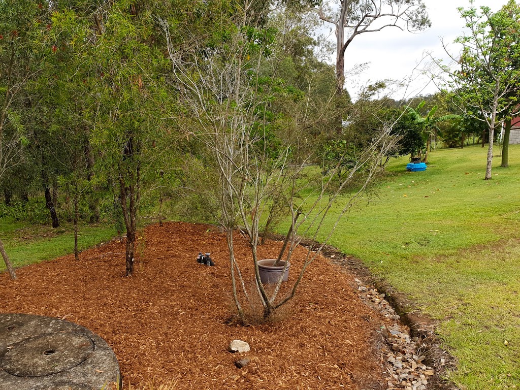 Cals Lawn and Garden Maintenance | general contractor | 12 Rosewood Ct, Gympie QLD 4570, Australia | 0401539891 OR +61 401 539 891