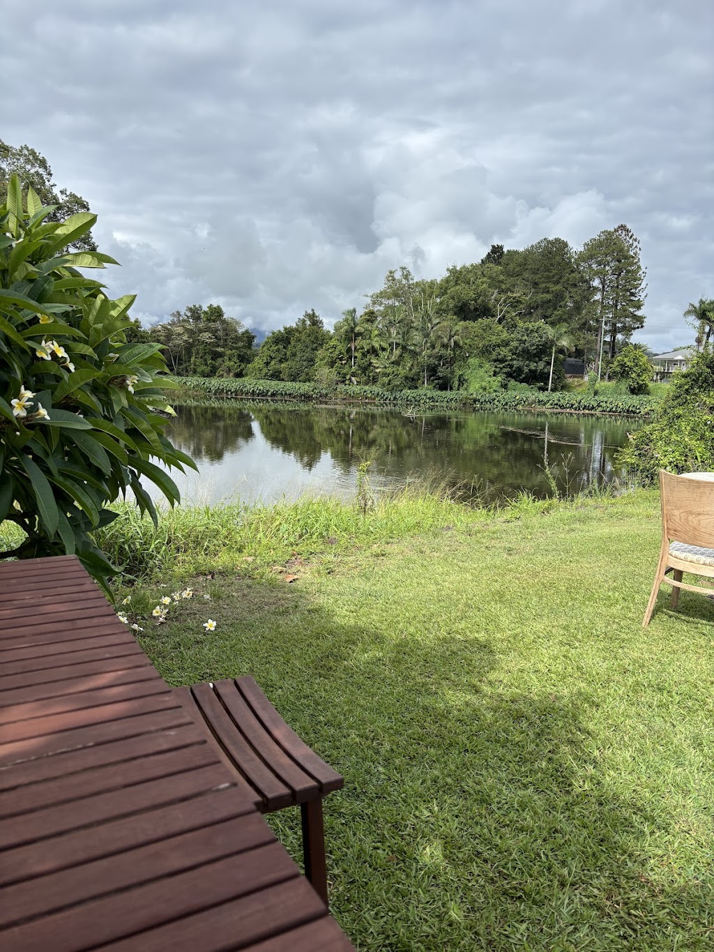 TRAM88 | 169 Numinbah Rd, Kynnumboon NSW 2484, Australia | Phone: 0472 793 818