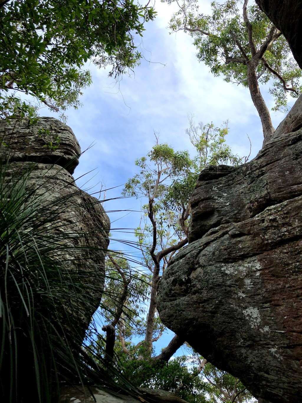 Bouddi Spur Walking Track | park | Mount Bouddi Rd, Macmasters Beach NSW 2251, Australia