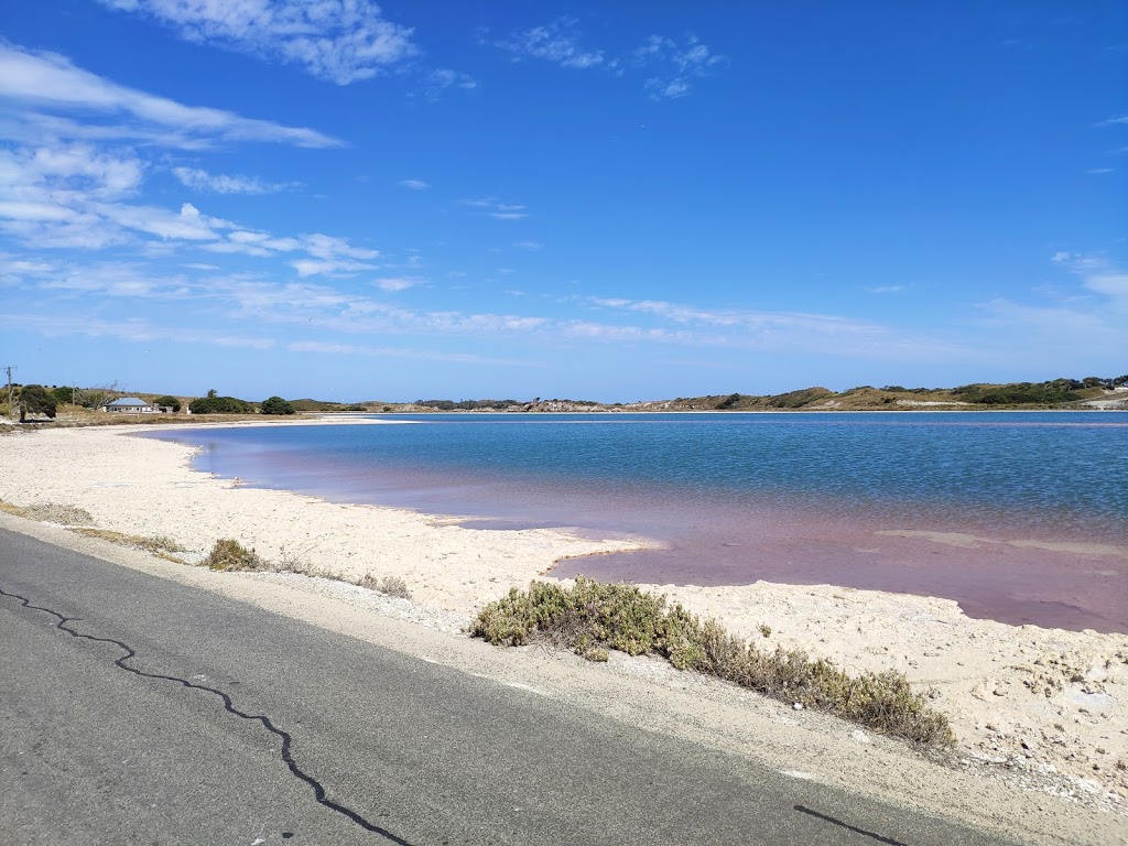 Pink Lake | park | Australia, Western Australia, Rottnest Island, pink lake、邮政编码: 6161