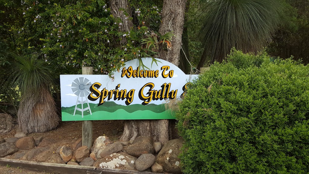 Spring Gully Stays | campground | 334 Sarabah Rd, Sarabah QLD 4275, Australia | 0755434490 OR +61 7 5543 4490