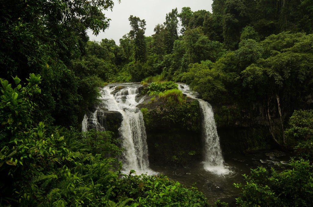 Wallicher Falls | Palmerston Hwy, Wooroonooran QLD 4860, Australia | Phone: 13 74 68