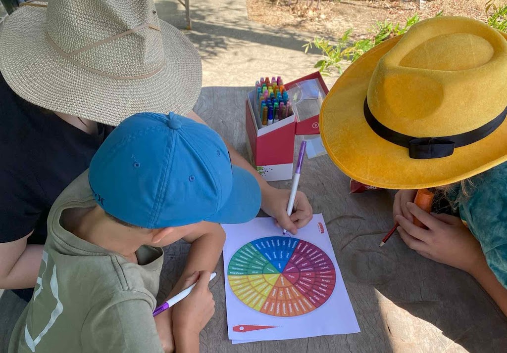 Seen and Herd Equine Assisted Therapy | 74 Hunts Rd, Kulnura NSW 2250, Australia | Phone: 0413 369 507