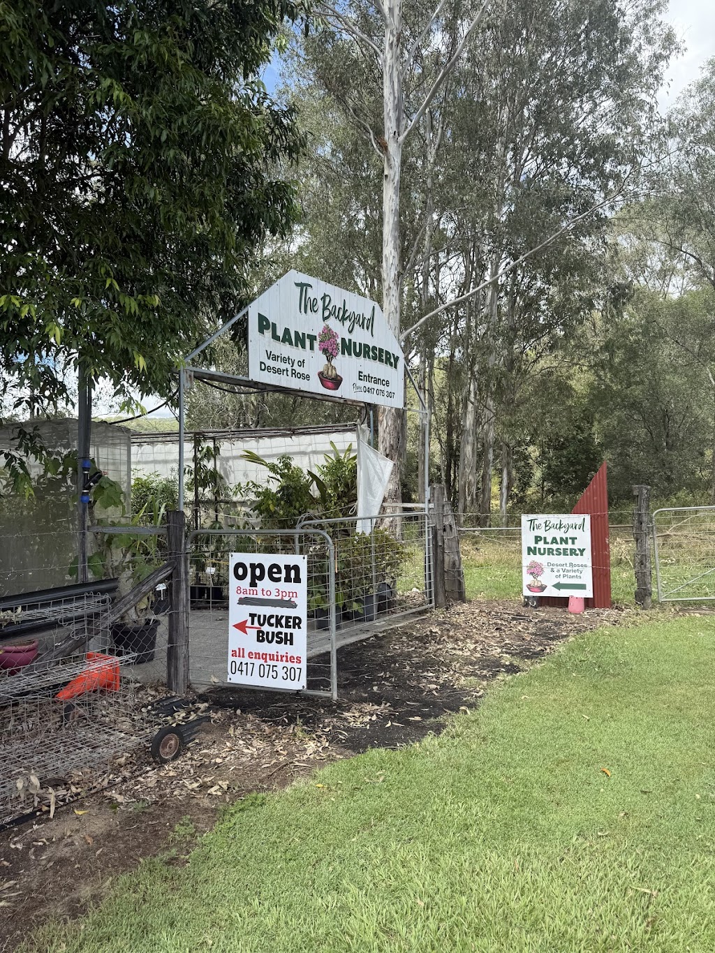 The Backyard Plant Nursery | 697 Beaudesert Beenleigh Rd, Wolffdene QLD 4207, Australia | Phone: 0417 075 307 The Backyard Plant Nursery | 697 Beaudesert Beenleigh Rd, Wolffdene QLD 4207, Australia | Phone: 0417 075 307