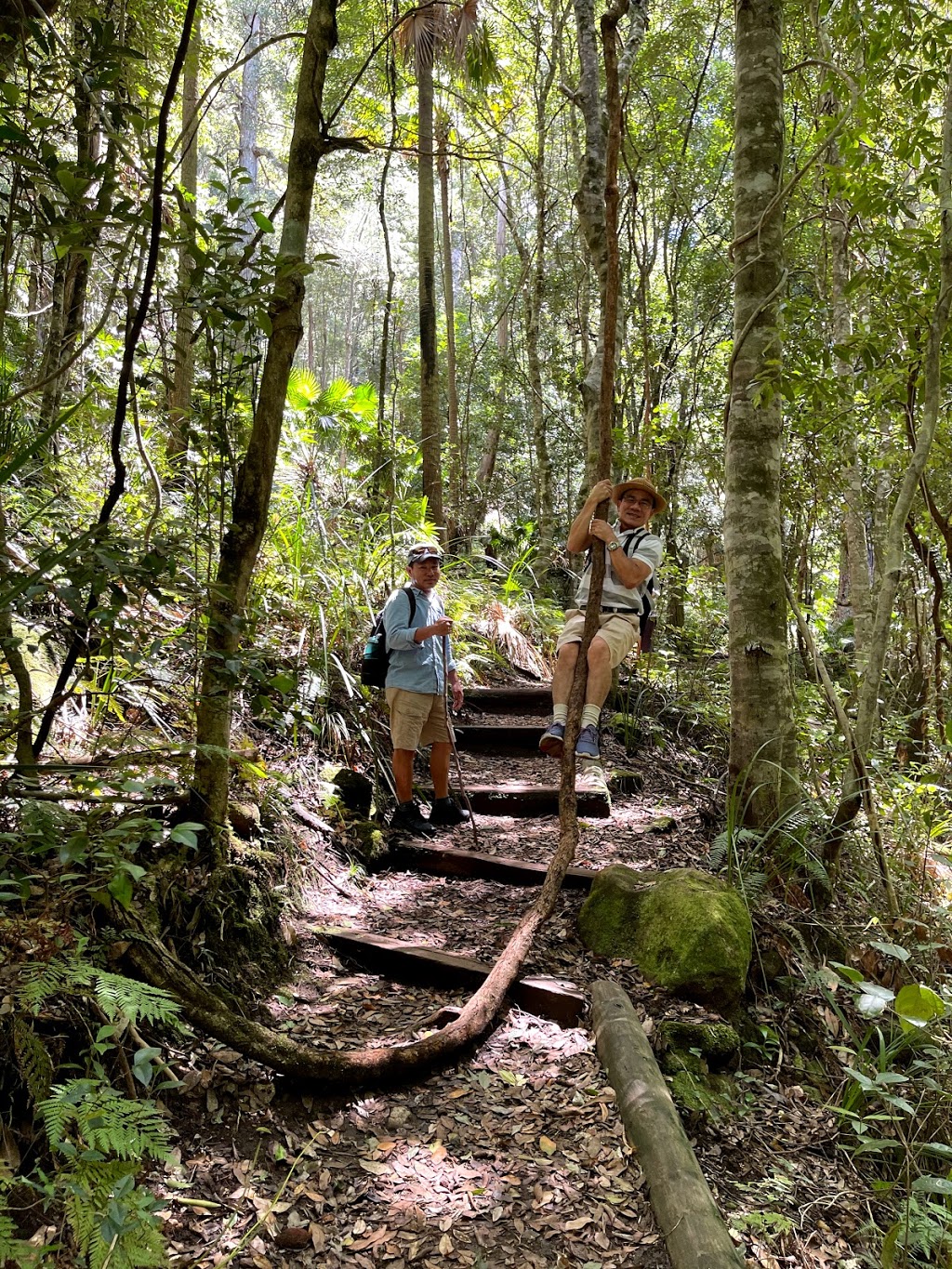 Forest path | tourist attraction | Sir Bertram Stevens Dr, Royal National Park NSW 2233, Australia | 0295420648 OR +61 2 9542 0648