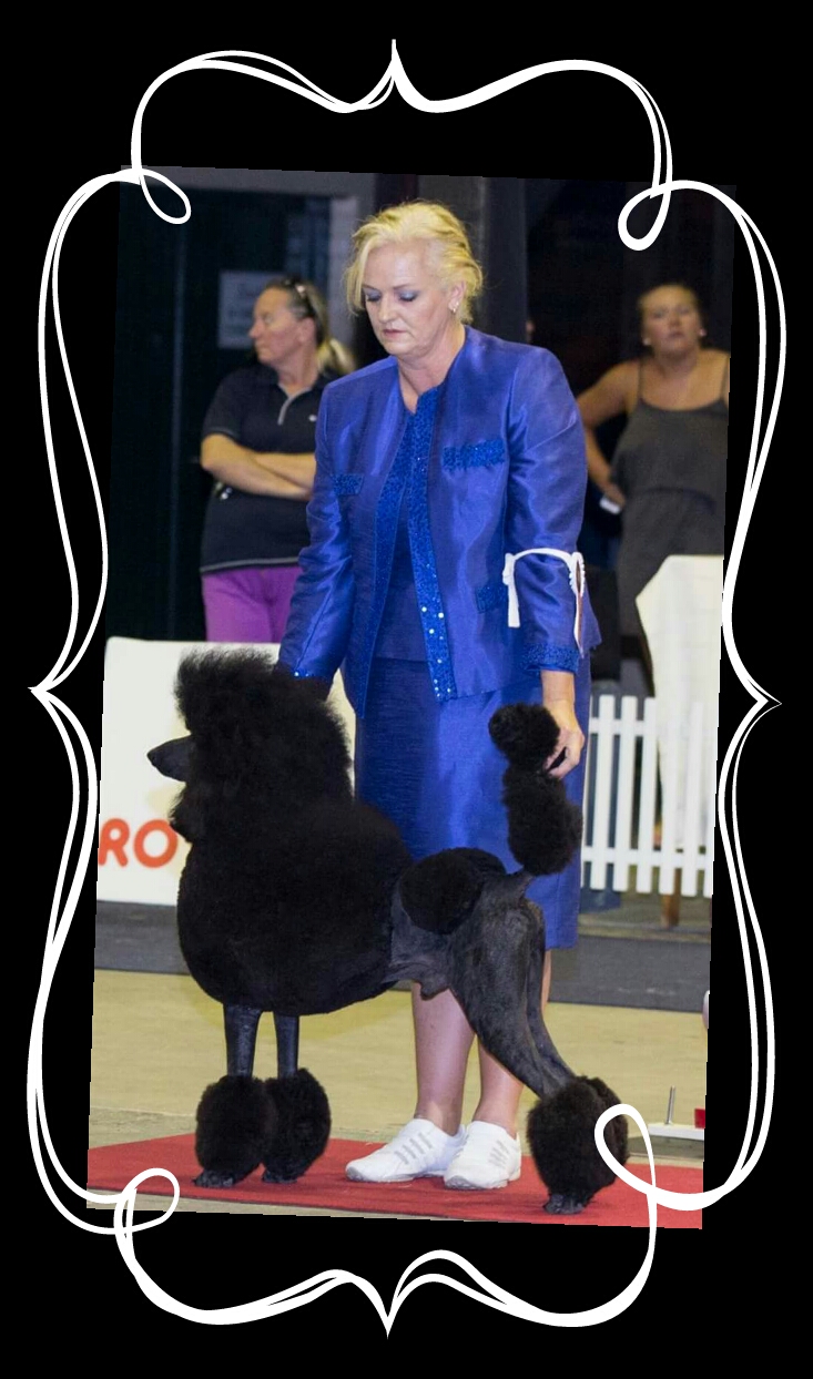 Woof Dog Spa & Boutique | 11 Odessa St, Granville QLD 4650, Australia | Phone: (07) 4122 2651