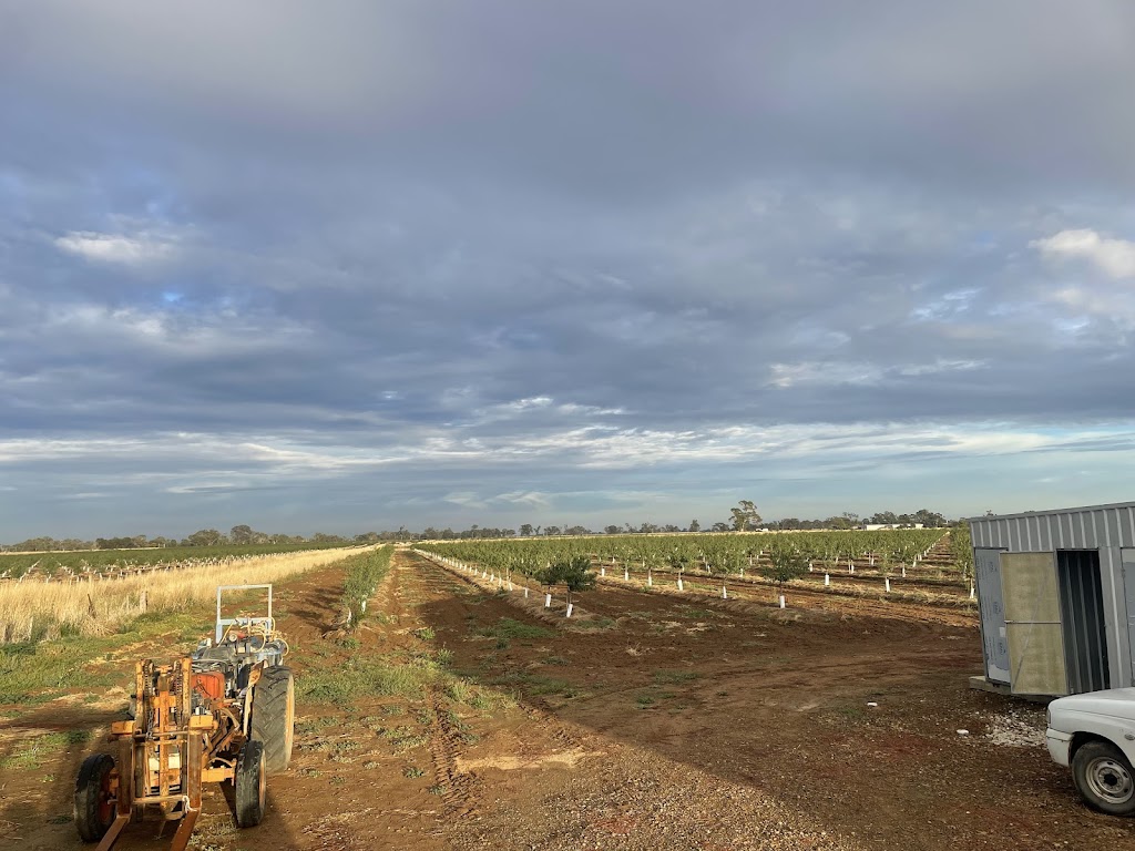 Tatura Farms | 1660 Pogue Rd, Tatura VIC 3616, Australia | Phone: 0490 078 930 Tatura Farms | 1660 Pogue Rd, Tatura VIC 3616, Australia | Phone: 0490 078 930