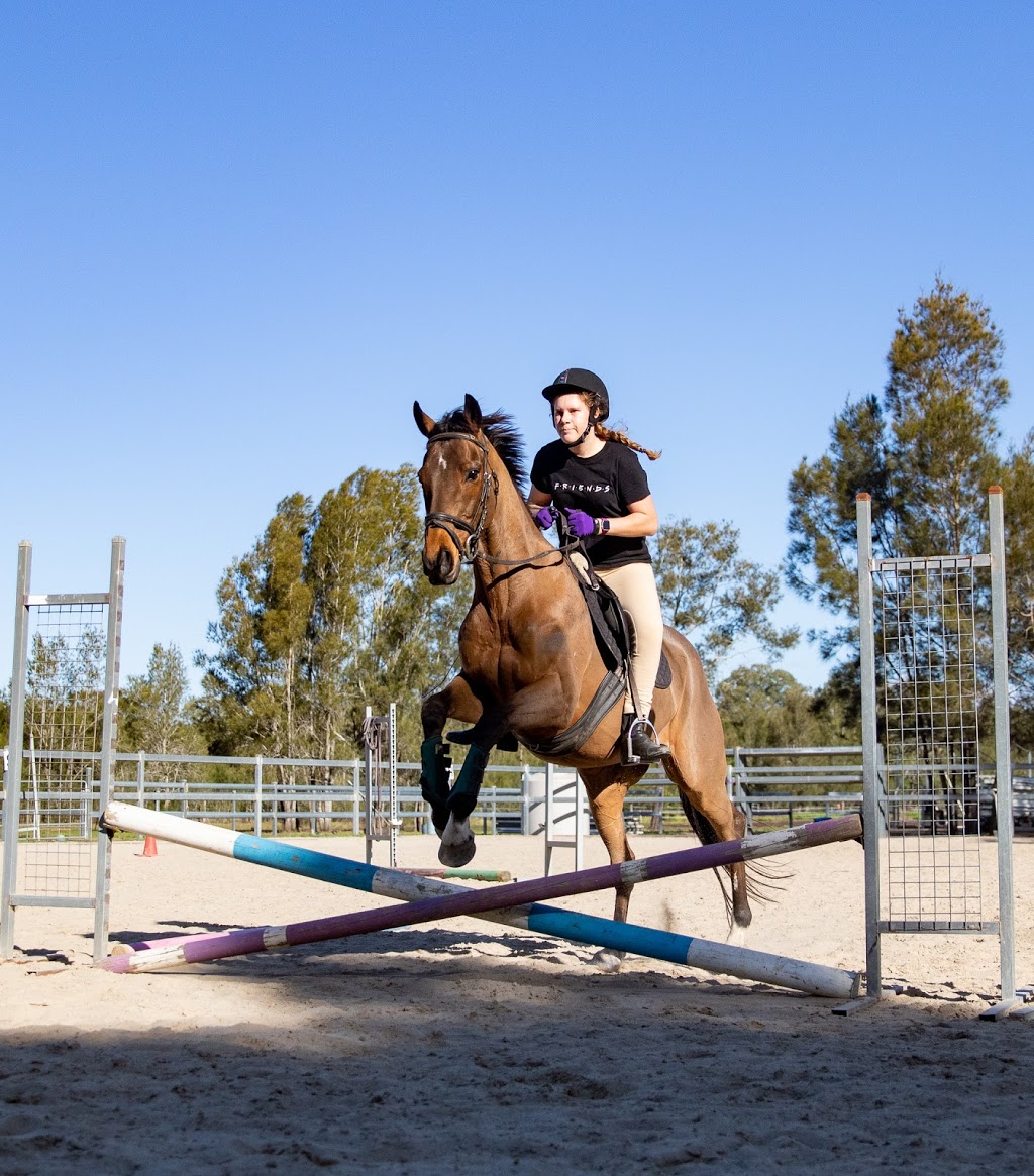 Crestline Equestrian | 19 Fischer Rd, Carbrook QLD 4130, Australia | Phone: 0403 873 845