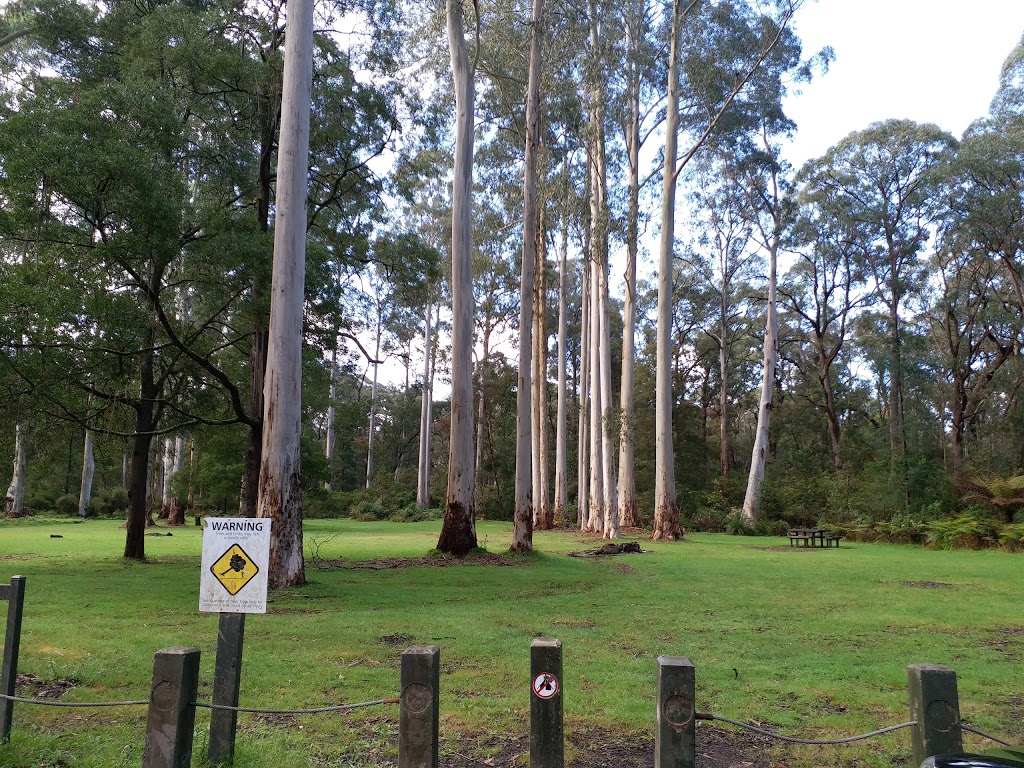 Dyers Picnic Ground | Tonimbuk VIC 3815, Australia | Phone: 13 19 63