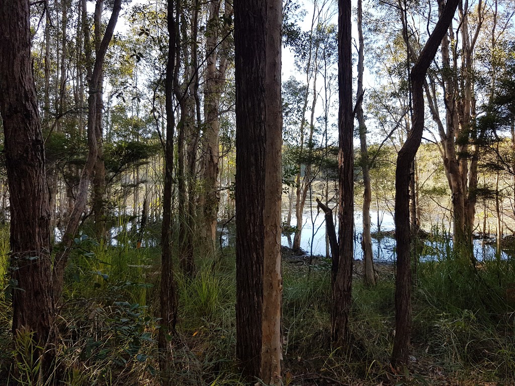 Real Property Photography Sunshine Coast | 264 Mooloolah Connection Rd, Mooloolah QLD 4553, Australia | Phone: 0499 812 424