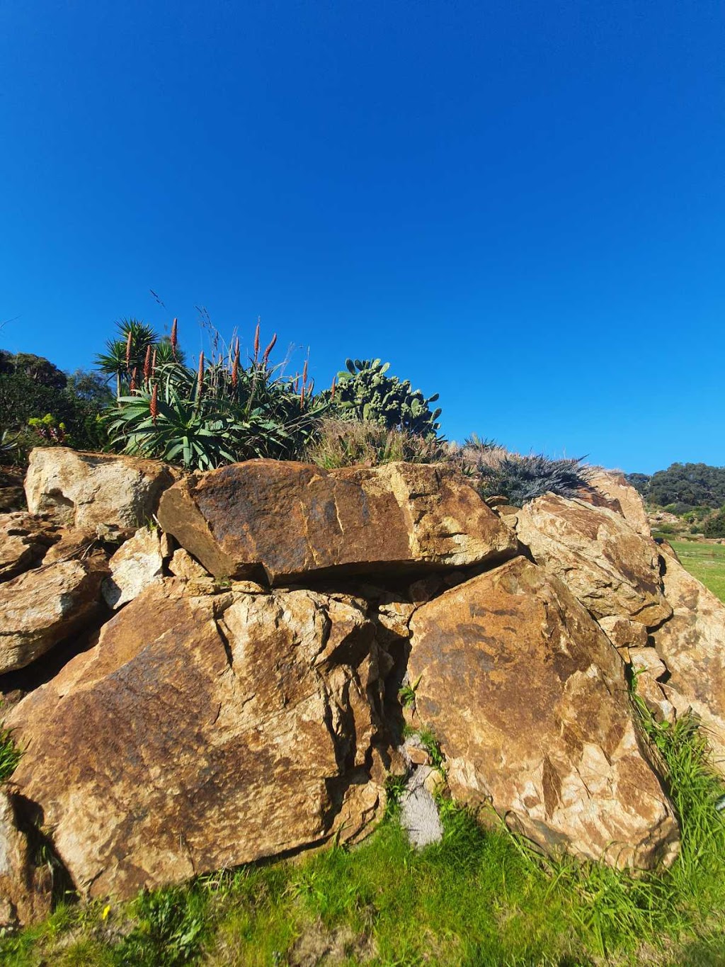 Panorama Landscapes | 130 Hyslops Rd, Boneo VIC 3939, Australia | Phone: (03) 9813 0000