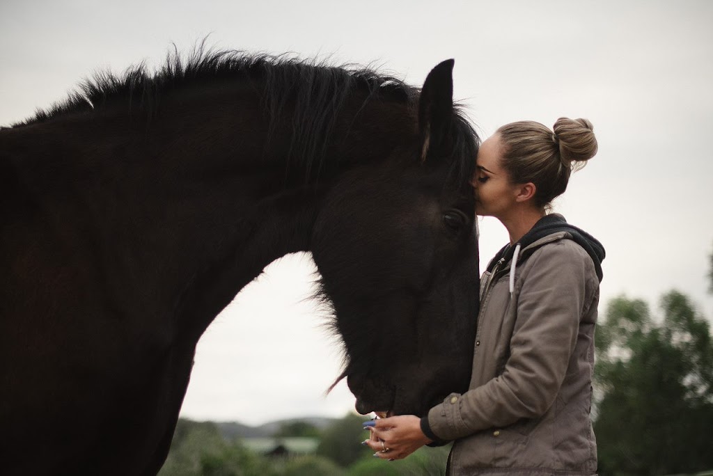 Empress Equine | 88 Kindra Ave, Karana Downs QLD 4306, Australia | Phone: 0423 275 615