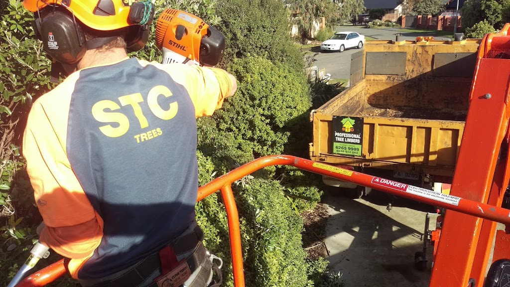 STC Tree Services | 1323 Arthur Hwy, Forcett TAS 7173, Australia | Phone: 0448 512 092