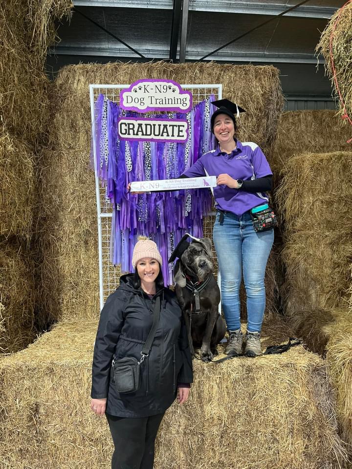 K-N9 Dog Training | 30 Bromhall Rd, Bundanoon NSW 2578, Australia | Phone: 0408 027 874