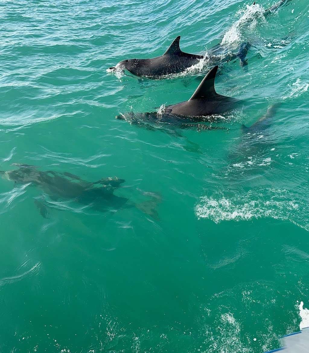 Limestone Coast Boat Tours | Lake Butler Marina, Lake Rd, Robe SA 5276, Australia | Phone: 0427 672 961