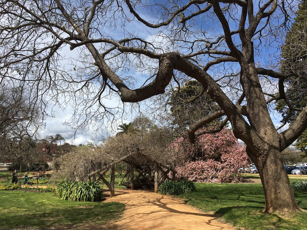 Castlemaine Botanical Gardens | park | 2 Walker St, Castlemaine VIC 3450, Australia