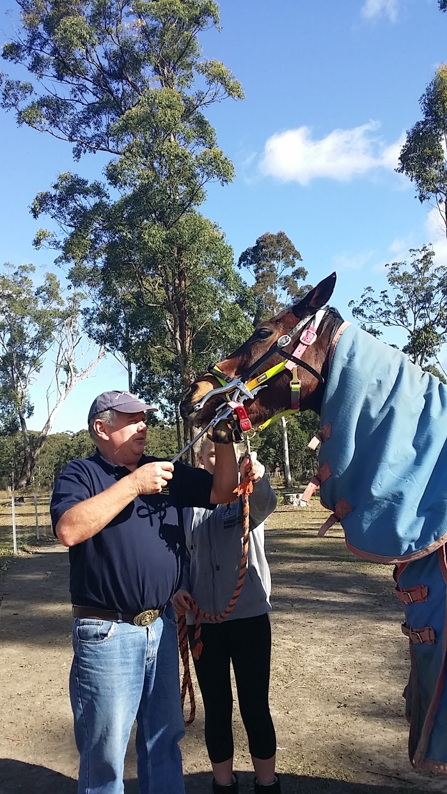 Brian S Grant Equine Dentistry & Farrier Service | 86 Upper Smiths Creek Rd, Kundabung NSW 2441, Australia | Phone: 0418 416 433