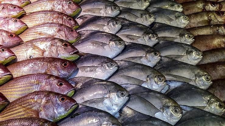 PRM Fresh Fish Seafood Market | food | 5/10 Warton Rd, Huntingdale WA 6110, Australia | 0434171831 OR +61 434 171 831