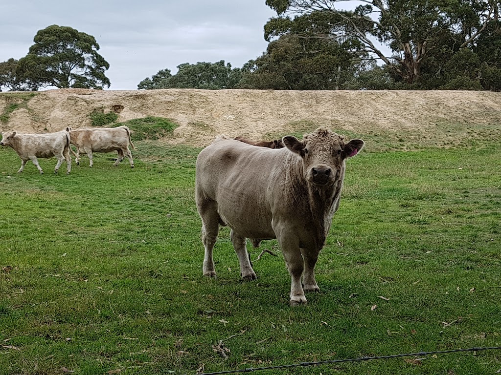 Cromer Conservation Park | park | Cromer Rd, Cromer SA 5235, Australia | 0882041910 OR +61 8 8204 1910