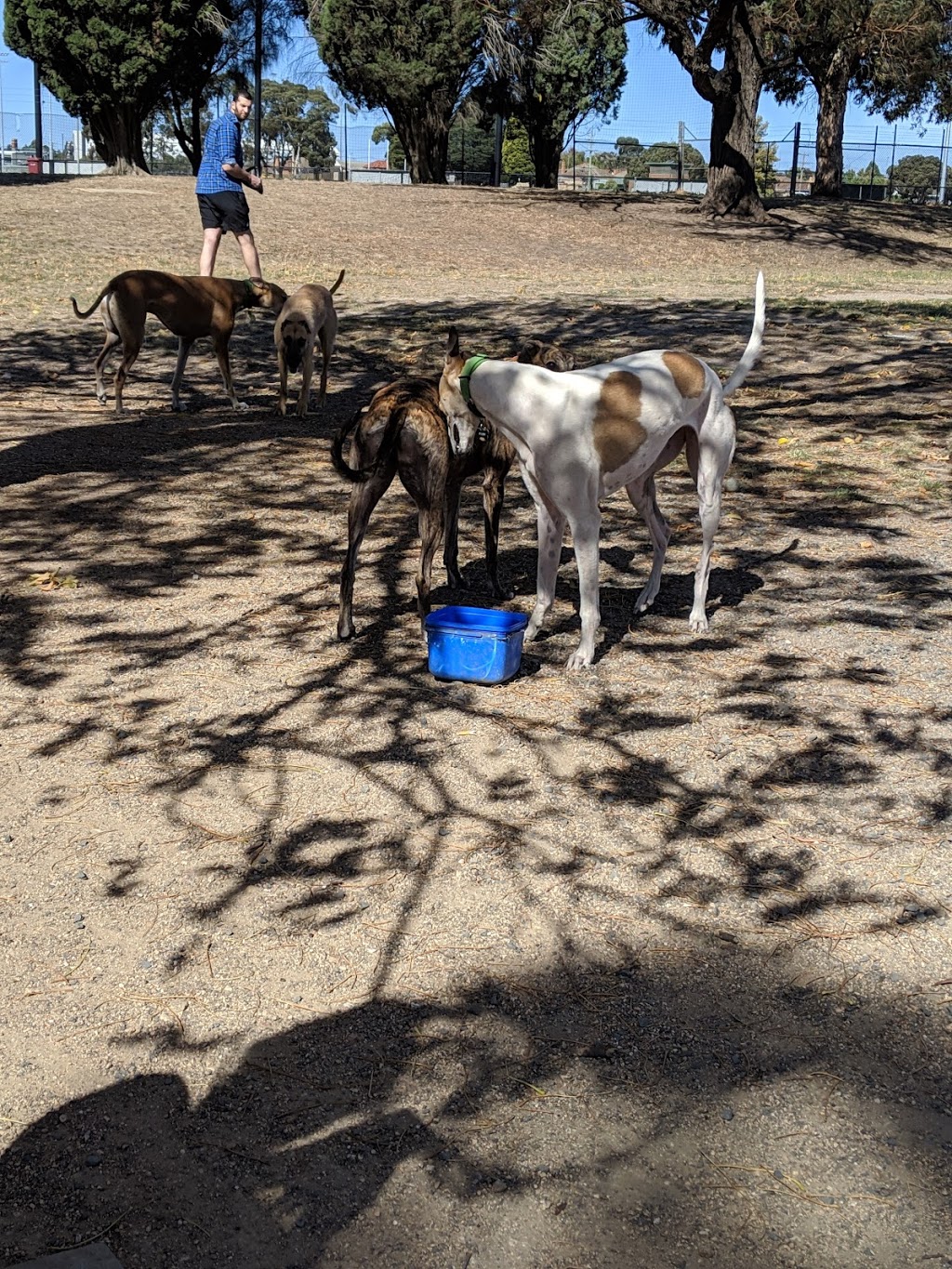 Dog Park (Wendouree) | park | Wendouree VIC 3355, Australia